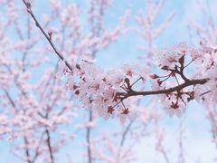 -院士公园