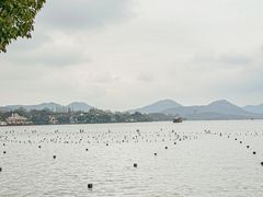 -西湖游船