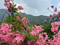 -木兰云雾山