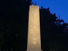 -谢怀亮芝麻茶