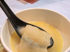 -鲜入围煮花胶鸡海鲜火锅