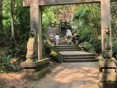 -凤栖山