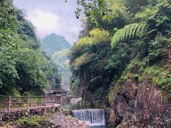 -肯德基(昆山千灯店)