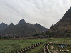 -长寿村