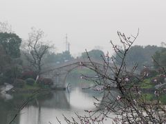 -桃花岛景观公园