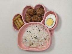 -爱月宝月嫂·育儿嫂