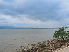 -深圳湾公园(南山区)