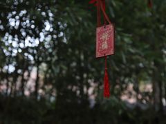 -济南大明湖景区