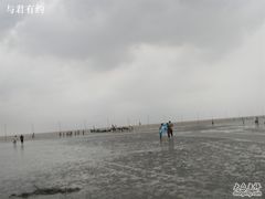 -碧海金沙