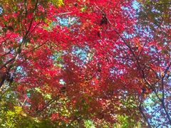 -西湖风景区-江洋畈生态公园