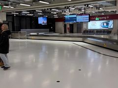 -柏林舍讷费尔德机场