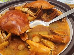 -欢乐海岸美食联盟