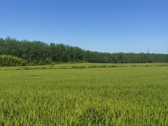-崔岗艺术村