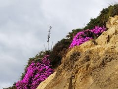 -摩拉基大圆石