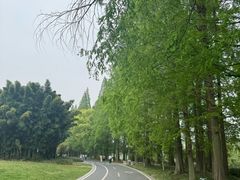 -采石矶景区
