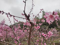 -三国水浒景区(无锡影视基地)