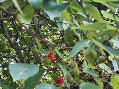 -敬亭山风景名胜区