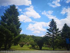 -沈阳职业技术学院