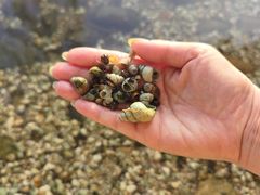 -天鹅湖体育公园