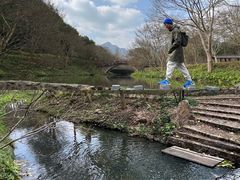-田野绿世界