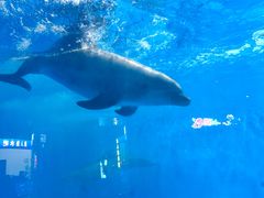 -福州罗源湾海洋世界旅游区