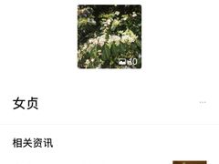 -佛山华盖山公园
