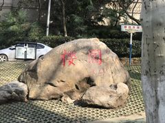 -武汉大学-樱园