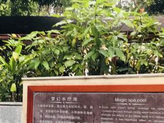 -碧水湾温泉