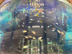 -OPEN開全日自助餐厅·牛肉火锅·海鲜(佛山希尔顿酒店)