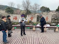 -香雪海