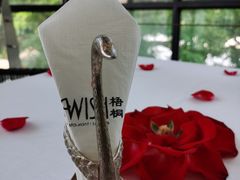 -梧桐