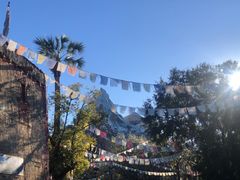 -奥兰多迪士尼动物王国乐园