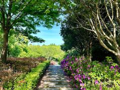 -上海吴淞炮台湾国家湿地公园