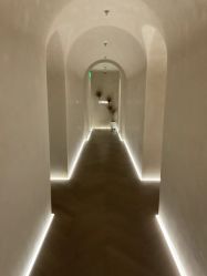 -in BEAUTY法国原液之谜