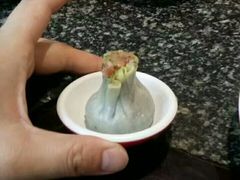 翡翠烧卖-冶春茶社(太和广场店)