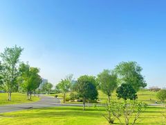 -盘龙城国家考古遗址公园