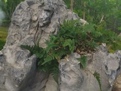 -上海植物园-4号门售票处