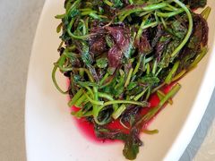 -阿斯牛牛·凉山菜(新会展店)