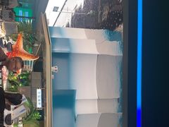 -亚马逊海鲜自助(梅溪湖步步高店)