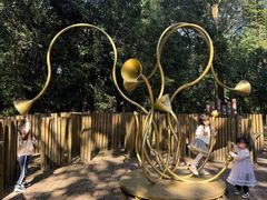 -南宁良凤江国家森林公园