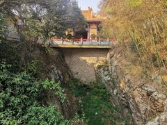 -平湖九龙山旅游度假区