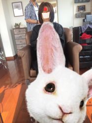 picture-ＤＯＭＯプロの美容サロン