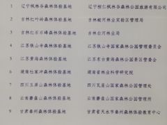 -黄海国家森林公园