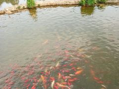 -月牙潭公园