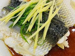 -红星光发煲仔饭(文海店)