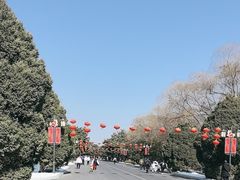-北陵公园