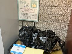 -大阪市立自然史博物馆