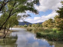 -长广溪湿地公园