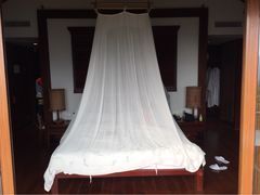 亚龙湾人间天堂-鸟巢度假村-三亚亚龙湾人间天堂鸟巢度假村