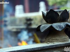 -亭林园-华藏寺